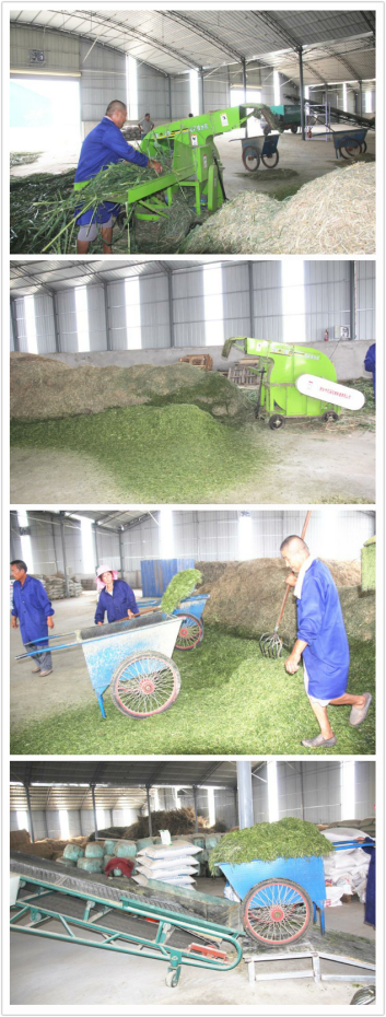 首页-SBOBET利记集团官方网站