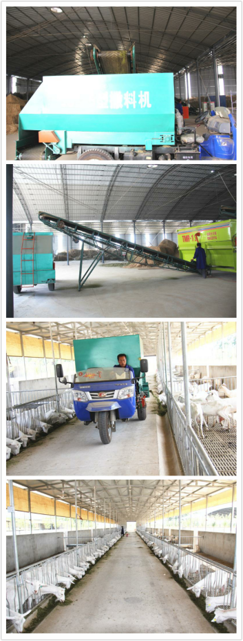 首页-SBOBET利记集团官方网站