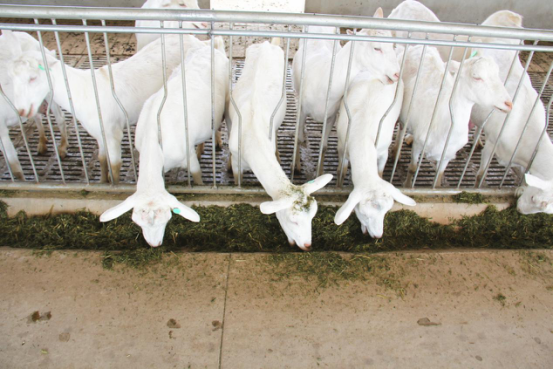 首页-SBOBET利记集团官方网站