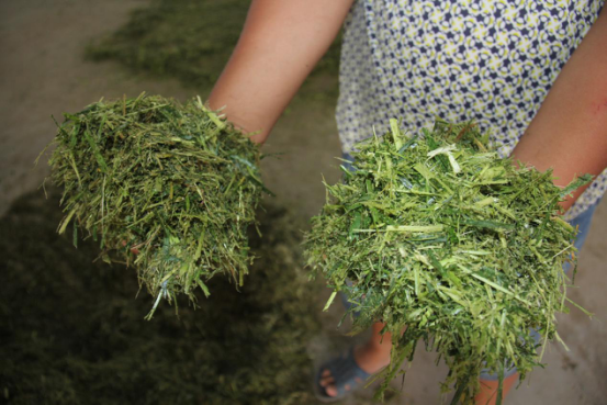 首页-SBOBET利记集团官方网站