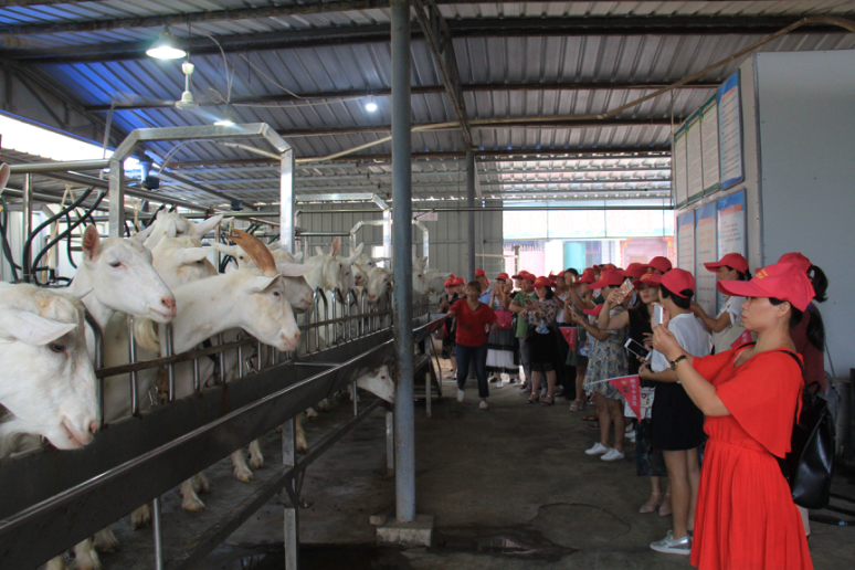 首页-SBOBET利记集团官方网站