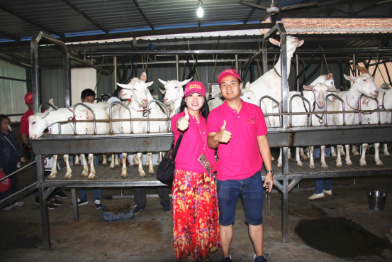 首页-SBOBET利记集团官方网站