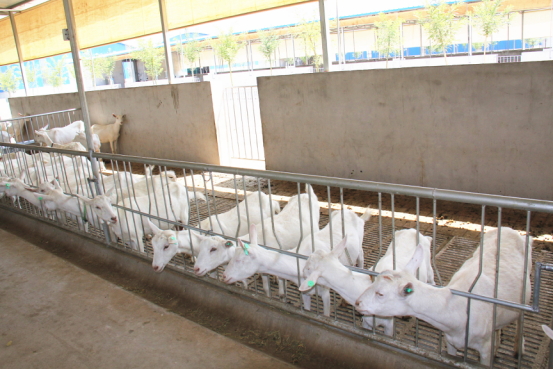 首页-SBOBET利记集团官方网站