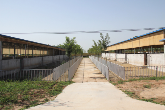 首页-SBOBET利记集团官方网站