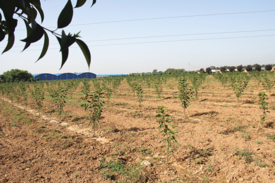 首页-SBOBET利记集团官方网站