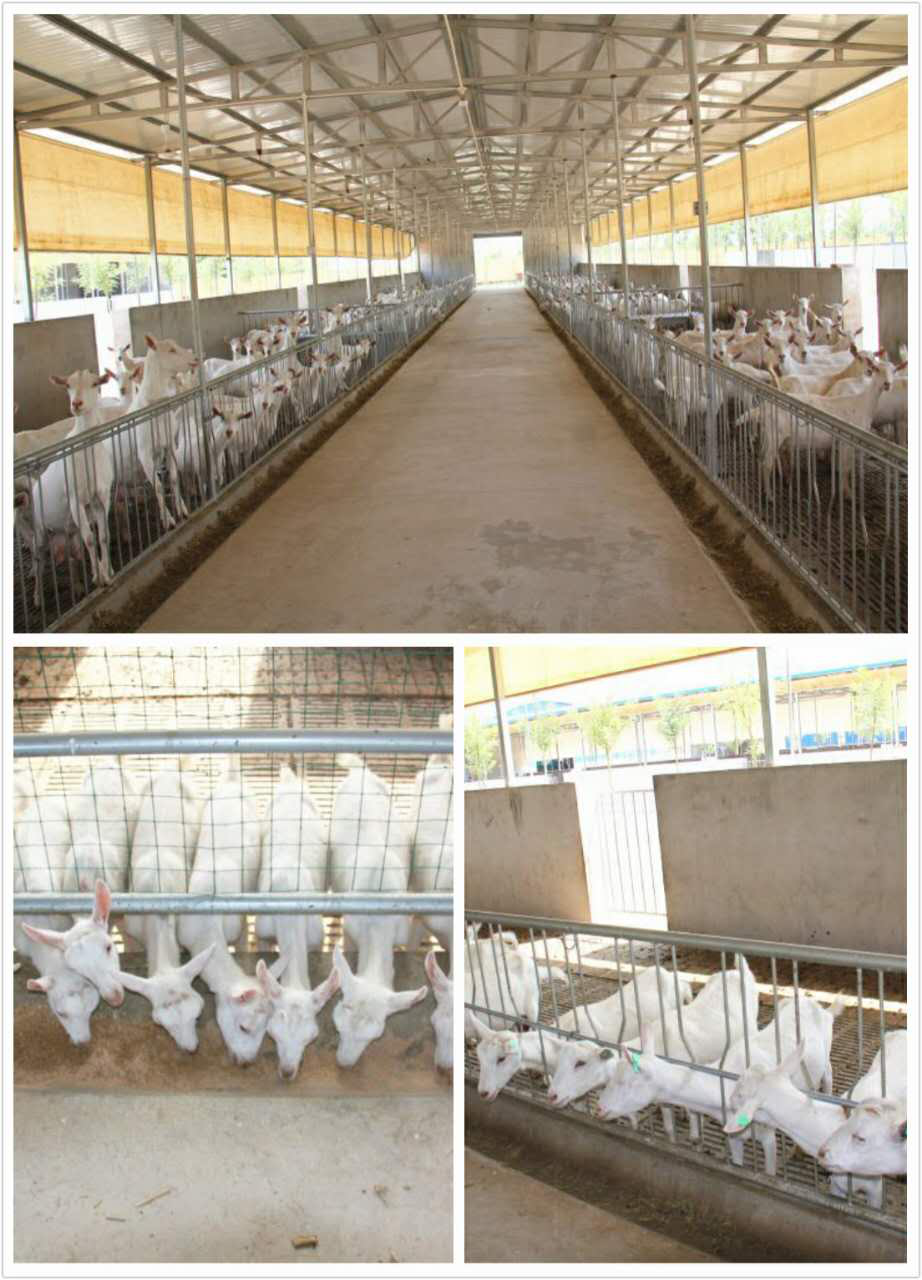 首页-SBOBET利记集团官方网站