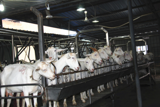 首页-SBOBET利记集团官方网站