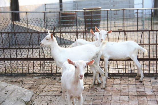 首页-SBOBET利记集团官方网站