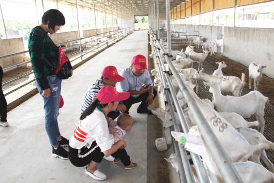 首页-SBOBET利记集团官方网站