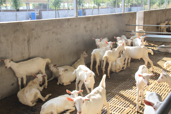 首页-SBOBET利记集团官方网站