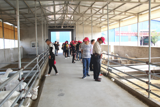 首页-SBOBET利记集团官方网站