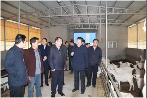 首页-SBOBET利记集团官方网站