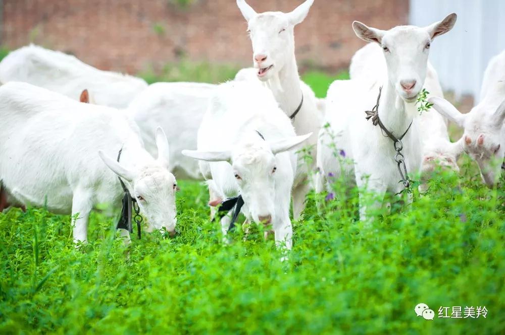 首页-SBOBET利记集团官方网站