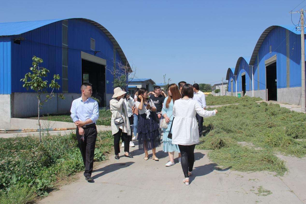 首页-SBOBET利记集团官方网站