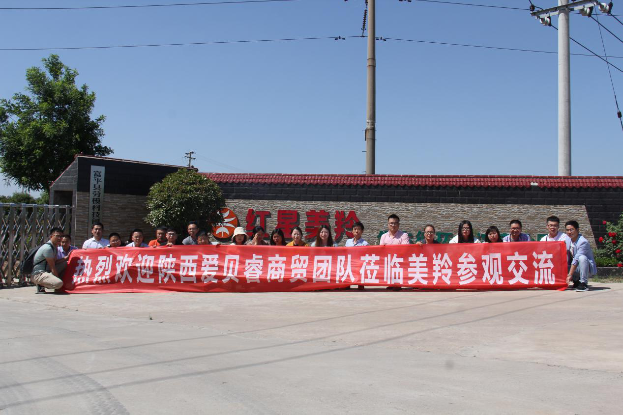 首页-SBOBET利记集团官方网站