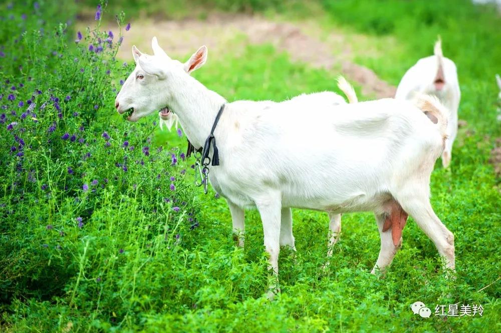 首页-SBOBET利记集团官方网站