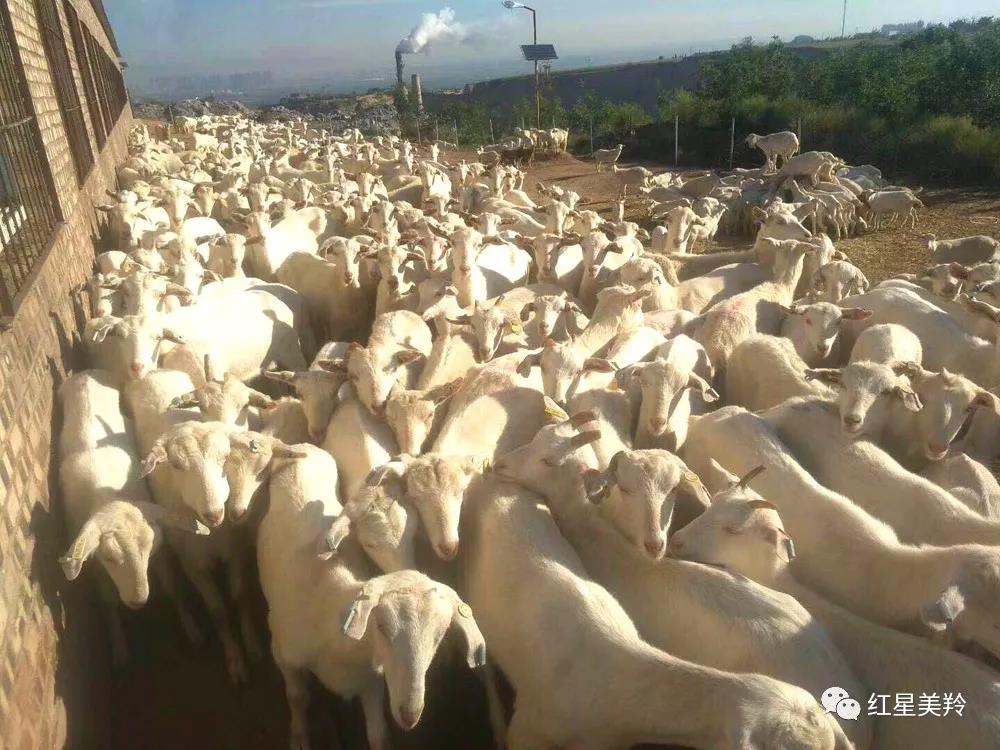 首页-SBOBET利记集团官方网站