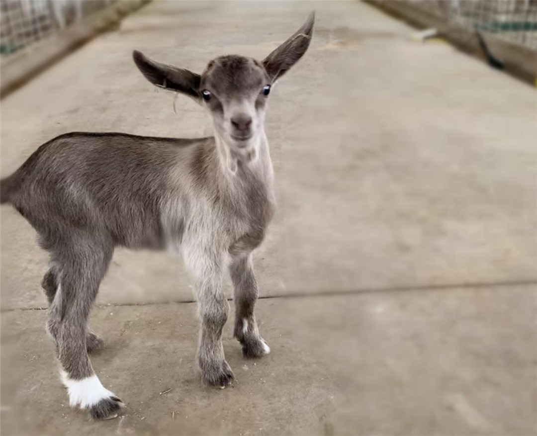 首页-SBOBET利记集团官方网站