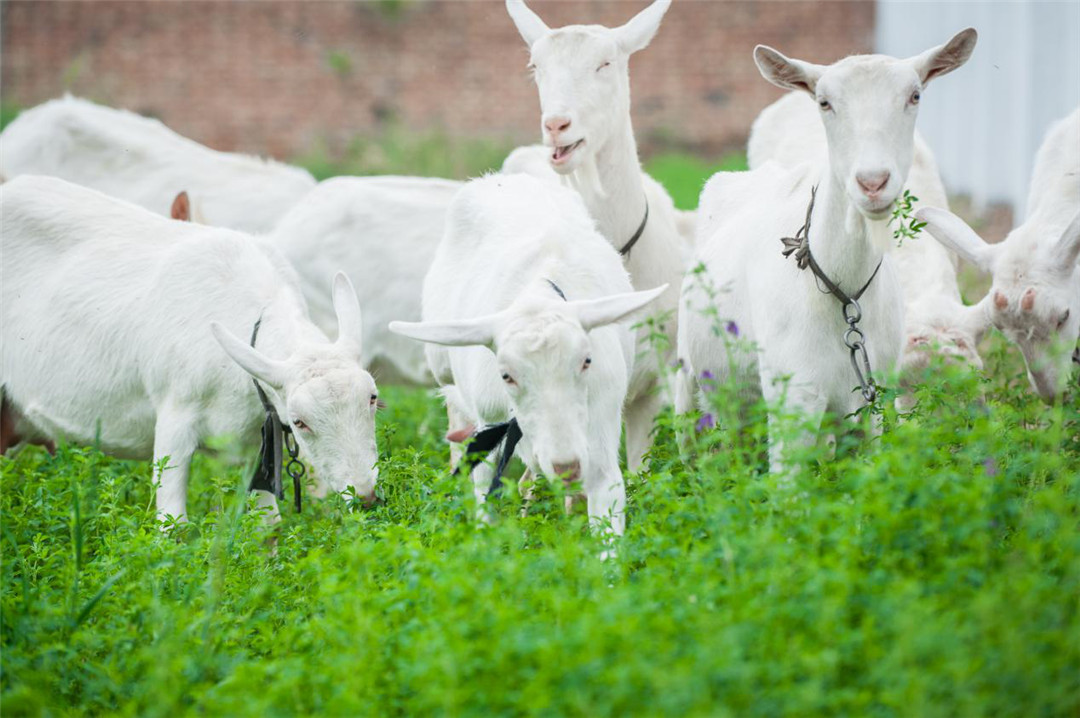 首页-SBOBET利记集团官方网站