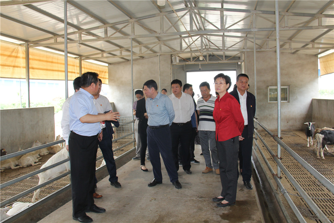 首页-SBOBET利记集团官方网站