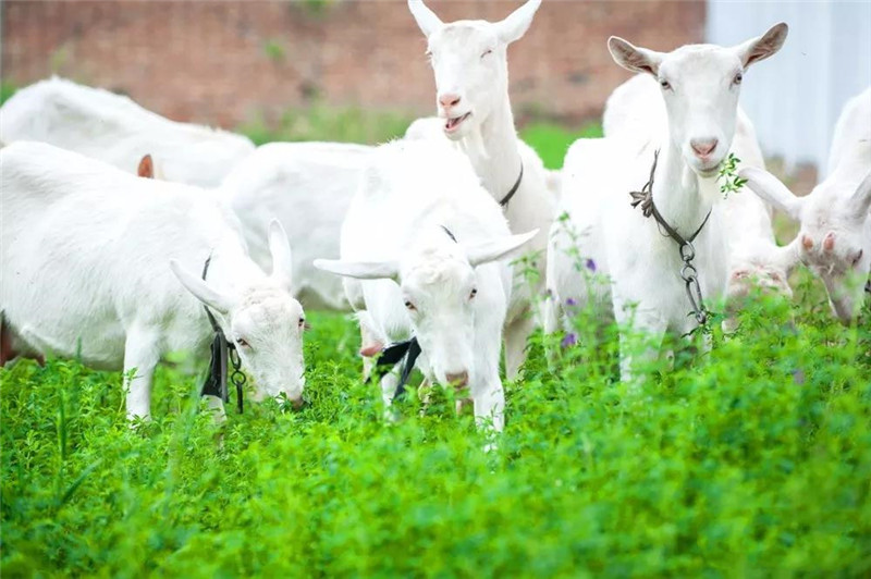 首页-SBOBET利记集团官方网站