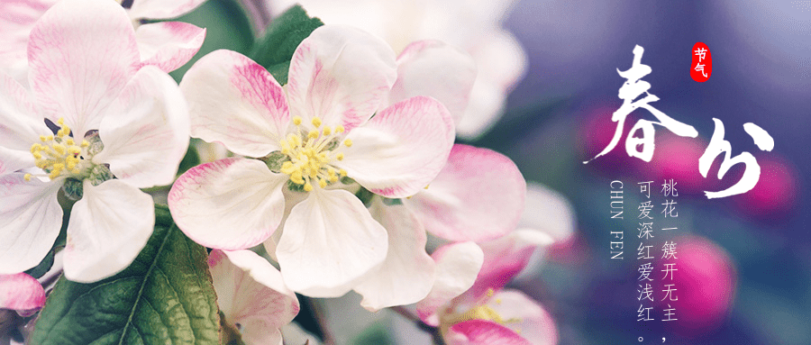 简约清新春分骨气宣传公家号推图@凡科快图.png